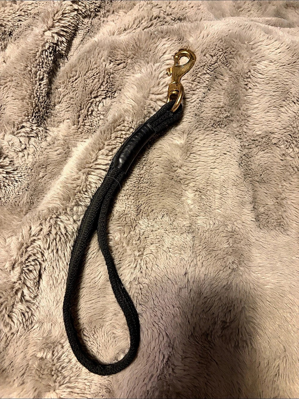 Black Strap with Gold-Tone Clasp dog leash